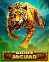 foxy gold majesytic jaguar